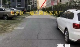 寿县论坛最新爆料,揭秘当地最新热点事件