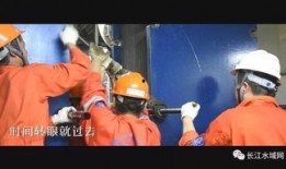 新船员最新爆料视频,最新视频曝光船员真实生活与工作状态