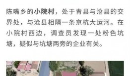廊坊16中最新爆料事件,校园事件引发社会关注！”
