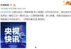 武汉爆料最新新闻,聚焦城市动态与民生焦点